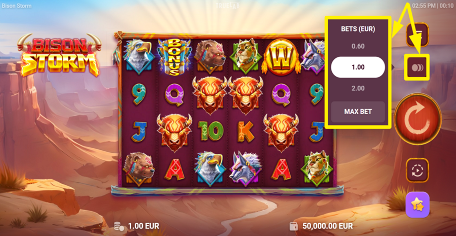 Bison Storm Adjust Bet