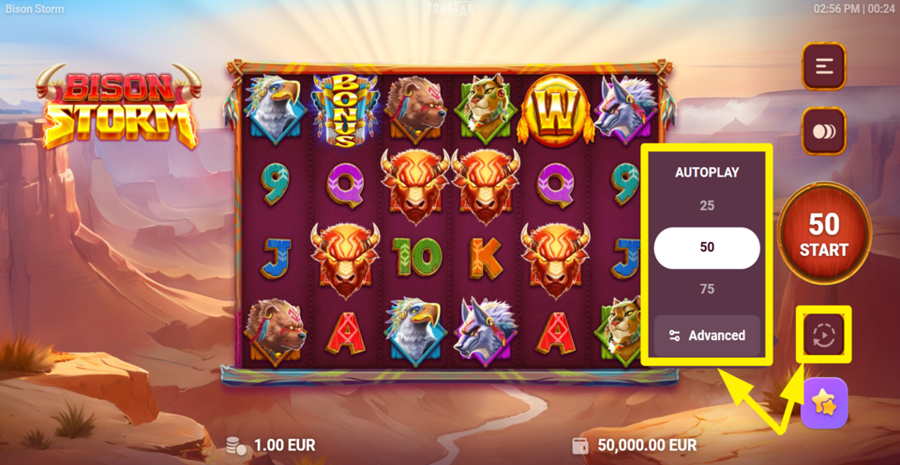 Bison Storm Autoplay