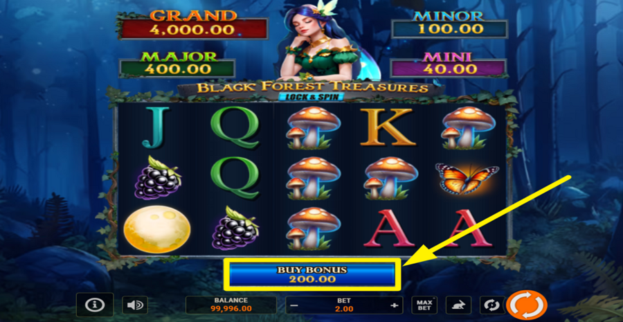 Black Forest Treasures Lock And Spin Buy Bonus