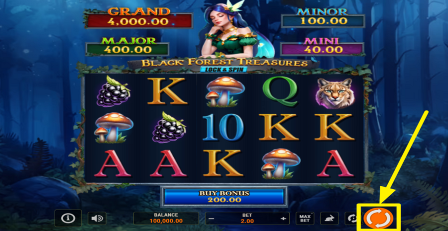 Black Forest Treasures Lock And Spin Spin