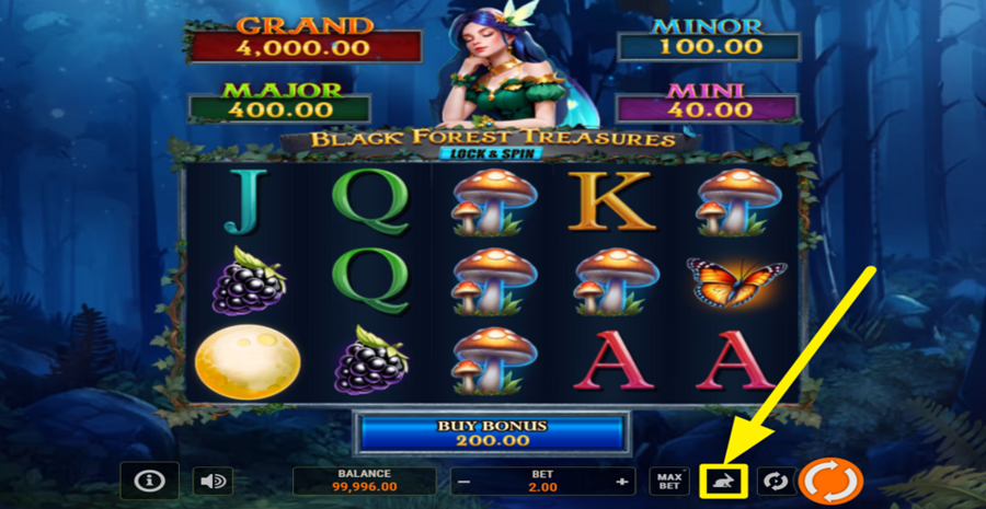 Black Forest Treasures Lock And Spin Turbo