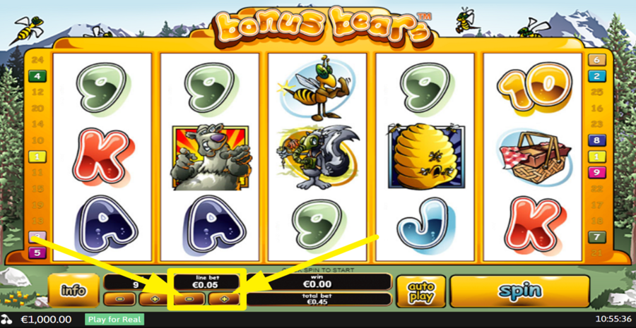 Bonus Bears Adjust Bet Per Line