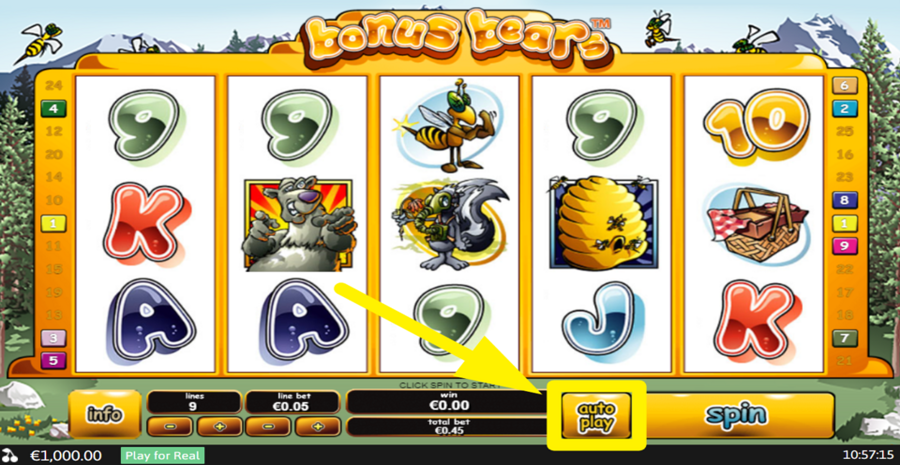 Bonus Bears Autoplay