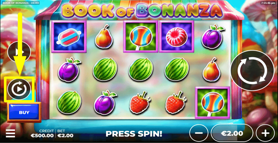 Book Of Bonanza Autoplay Feature