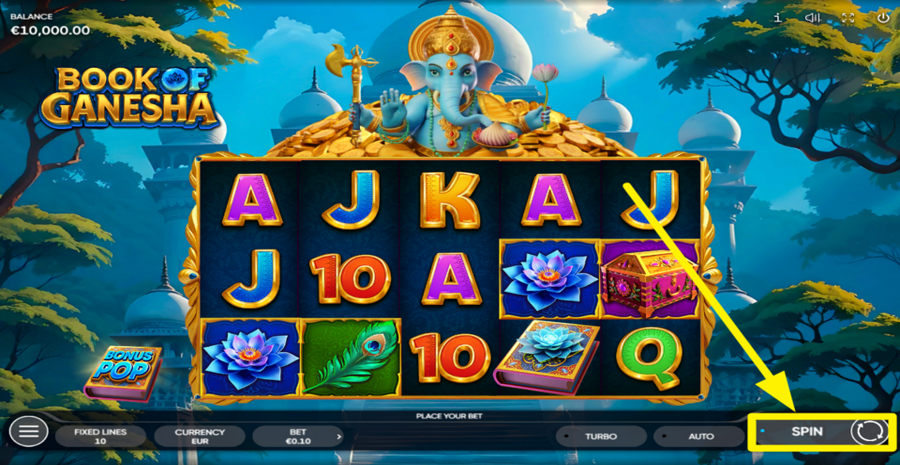 Book Of Ganesha Spin