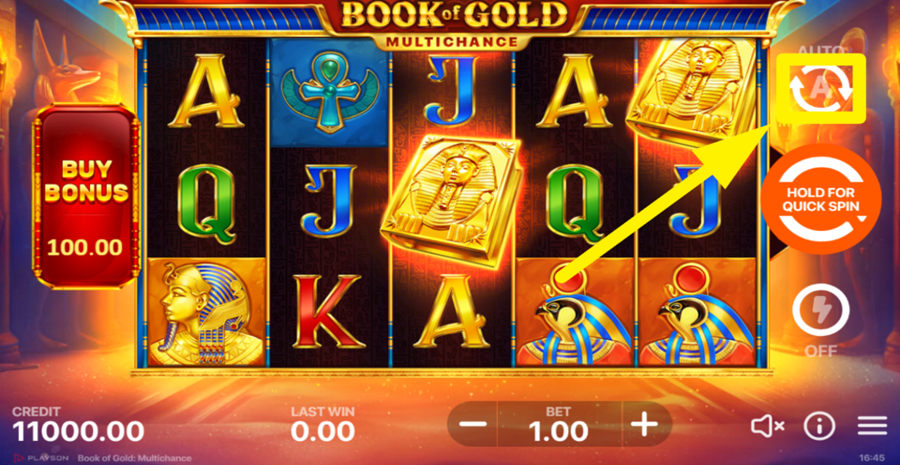 Book Of Gold Multichance Turbo