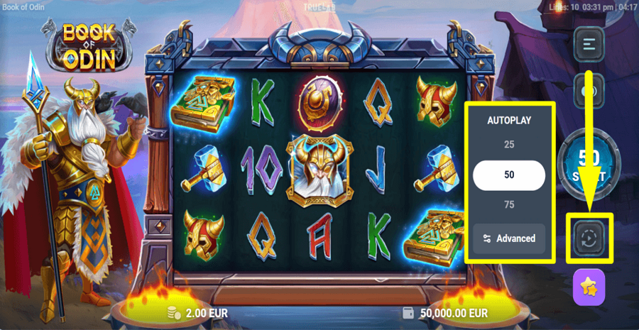 Book Of Odin Autoplay Feature
