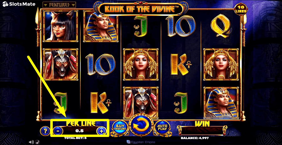 Book Of The Divine Choose Bet