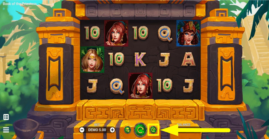 Book Of The Priestess Autoplay Feature