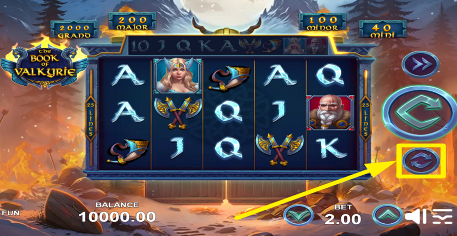 Book Of Valkyrie Autoplay