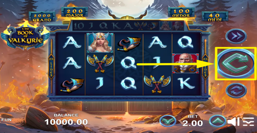 Book Of Valkyrie Spin