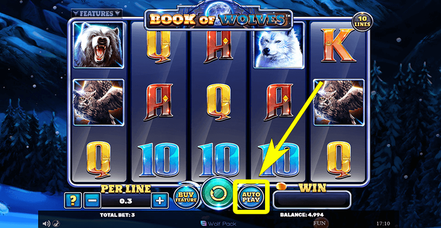 Book Of Wolves Autoplay