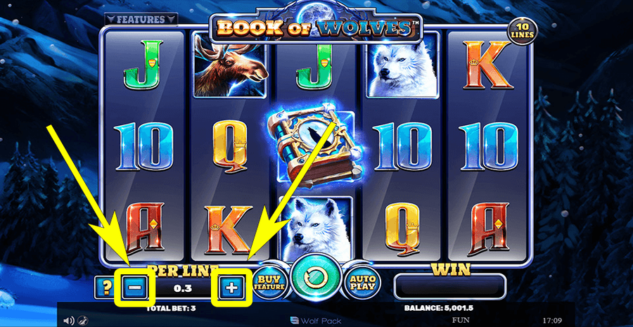 Book Of Wolves Bet Selection