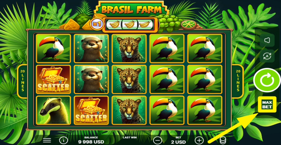 Brasil Farm Max Bet