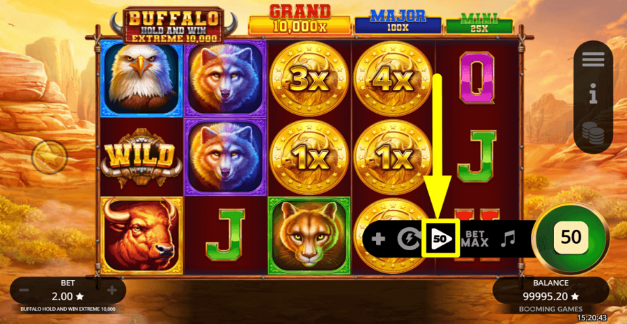 Buffalo Hold And Win Extreme 10000 Autoplay Feature