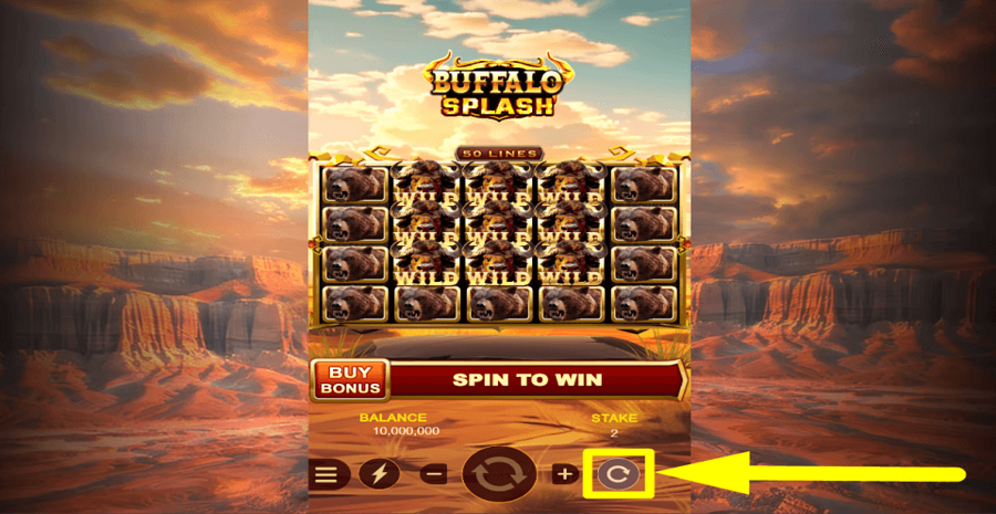 Buffalo Splash Autoplay Feature