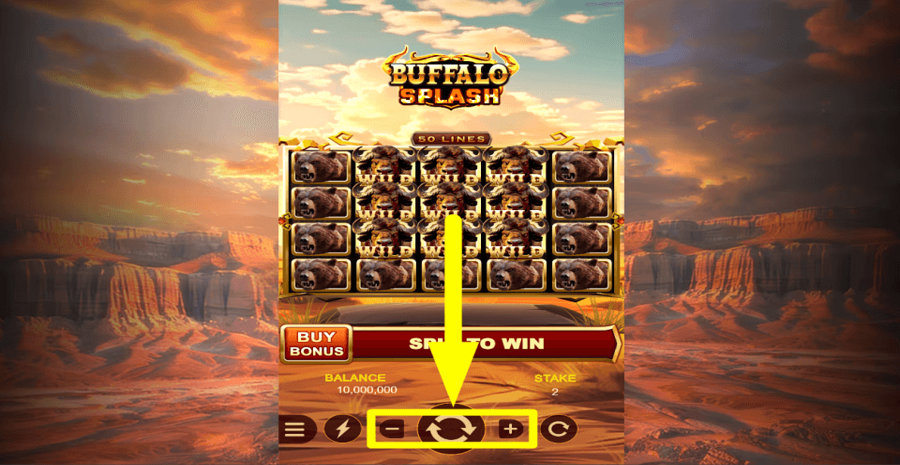 Buffalo Splash Bet Value