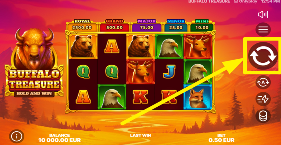 Buffalo Treasure Hold And Win Spin