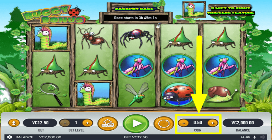 Buggy Bonus Coin Value