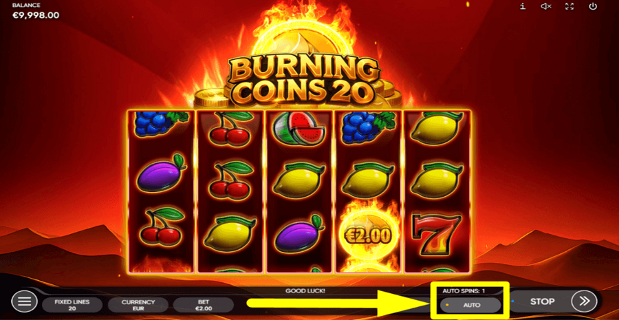 Burning Coins 20 Autoplay Feature