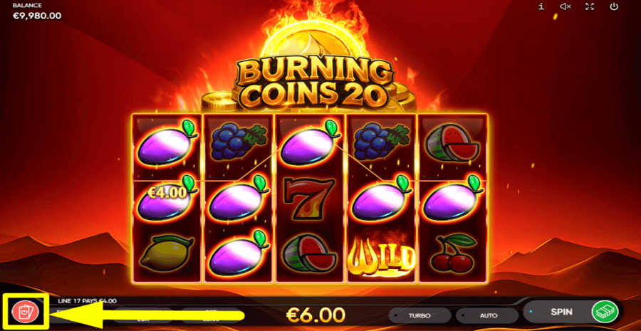 Burning Coins 20 Gamble Feature