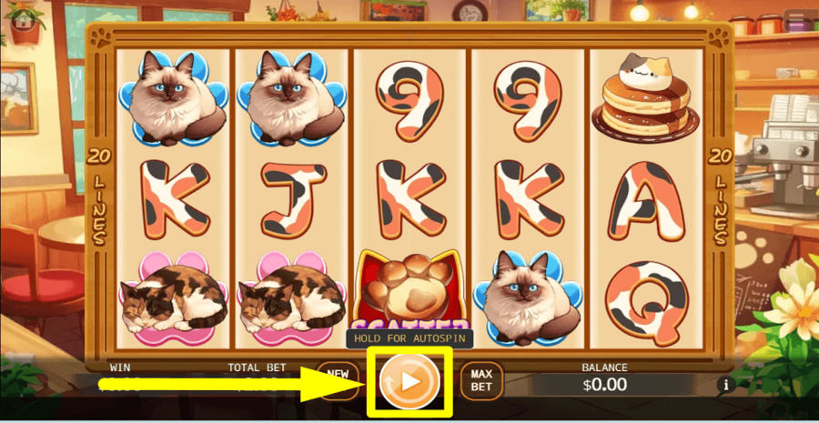 Cafe Meow Autoplay Feature