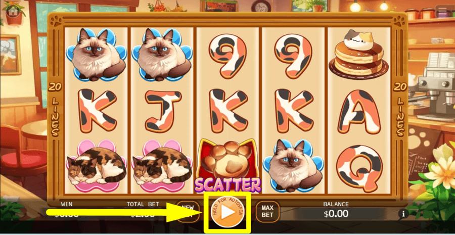 Cafe Meow Play Button