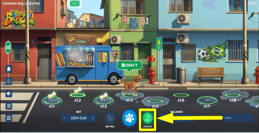 Caramelo Dog Lucky Run Collect Button