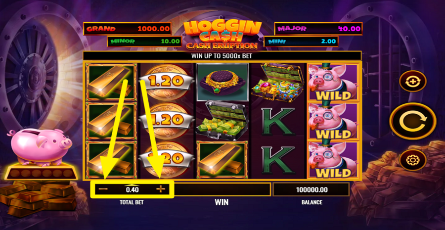 Cash Eruption Hoggin Cash Adjust Bet