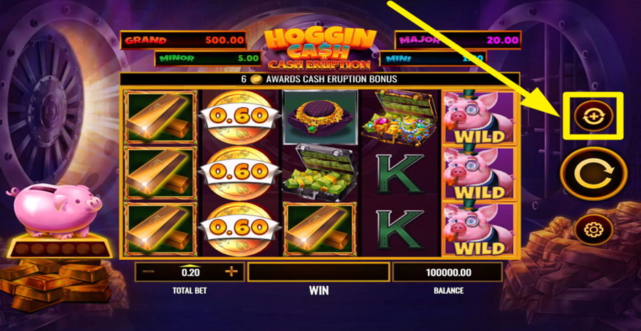 Cash Eruption Hoggin Cash Autoplay