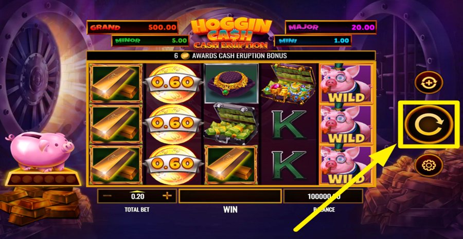Cash Eruption Hoggin Cash Spin Button