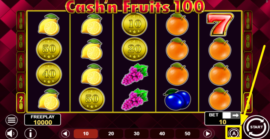 Cash N Fruits 100 Autoplay