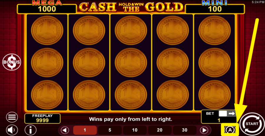 Cash The Gold Hold And Win Autoplay
