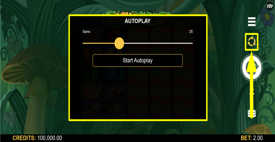 Cashapillar Autoplay Feature