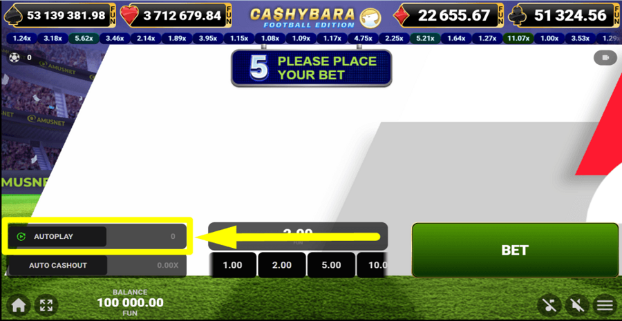 Cashybara Football Edition Autoplay Feature