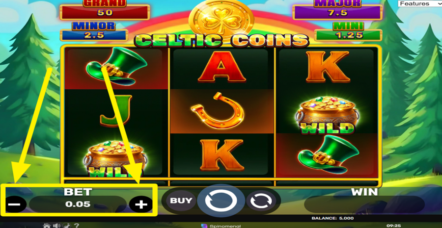 Celtic Coins Hold And Hit 3x3 Adjust Bet