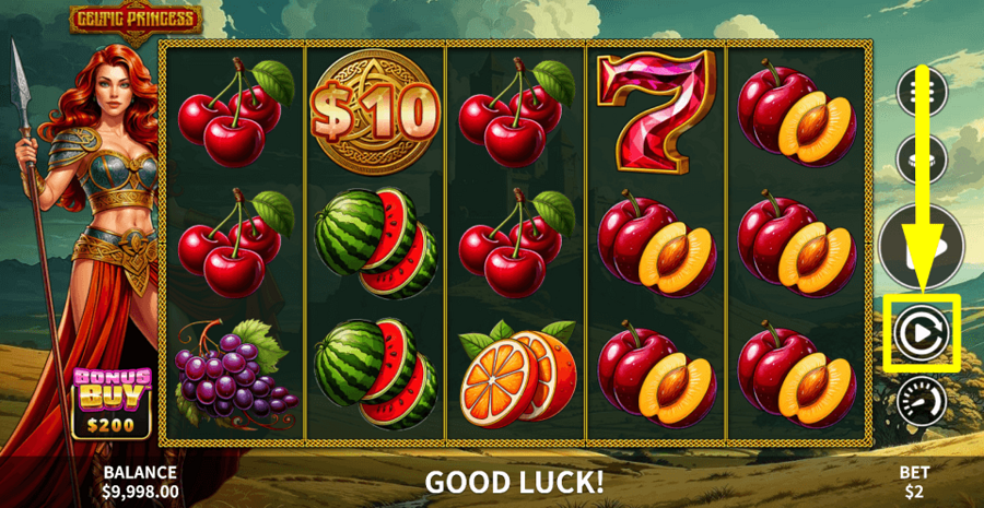 Celtic Princess Autoplay Feature