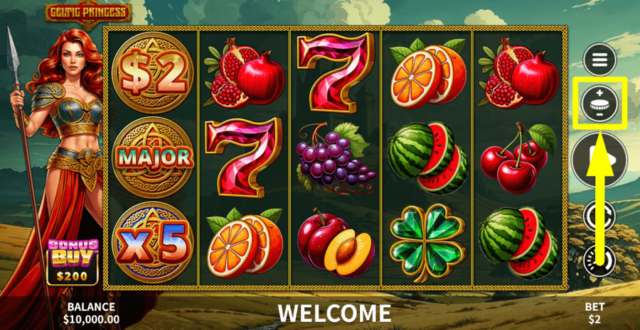 Celtic Princess Bet Value