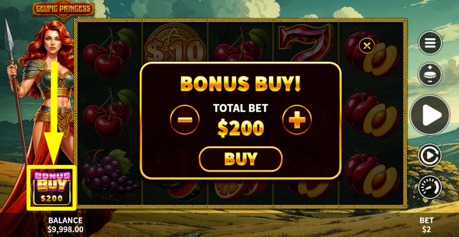 Celtic Princess Buy Feature