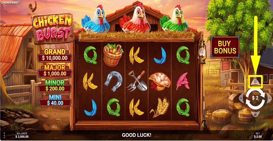 Chicken Burst Autoplay Feature