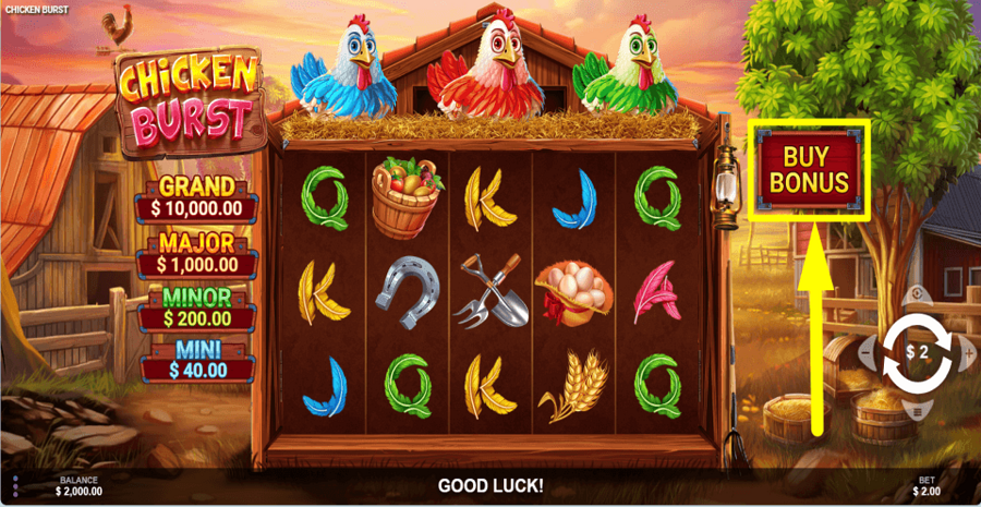 Chicken Burst Buy Feature