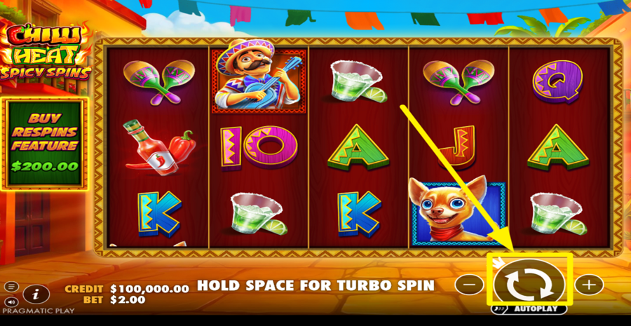 Chilli Heat Spicy Spins Spin