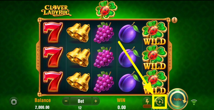 Clover Ladybug Autoplay