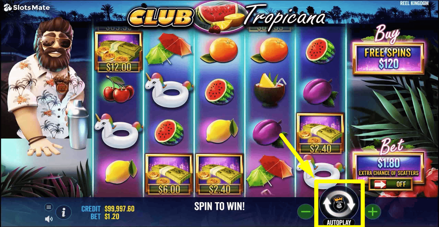 Club Tropicana 3
