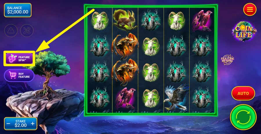 Coin Of Life Feature Spin