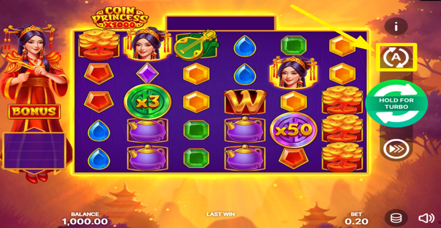 Coin Princess x1000 Autoplay