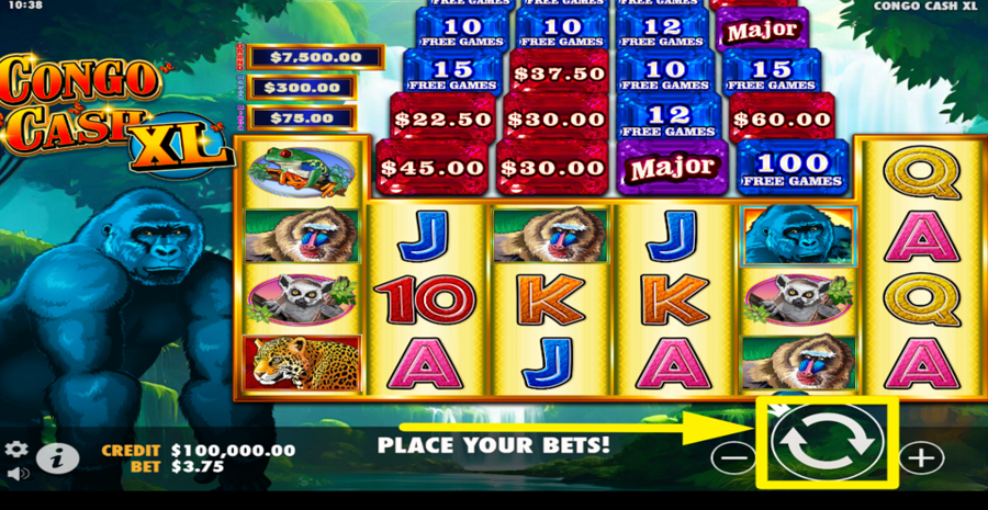 Congo Cash Xl Spin Button