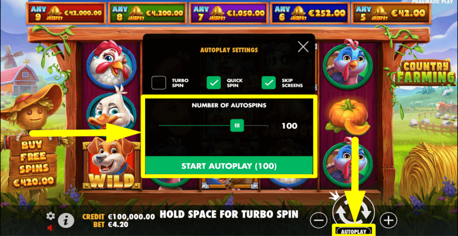 Country Farming Autoplay Feature