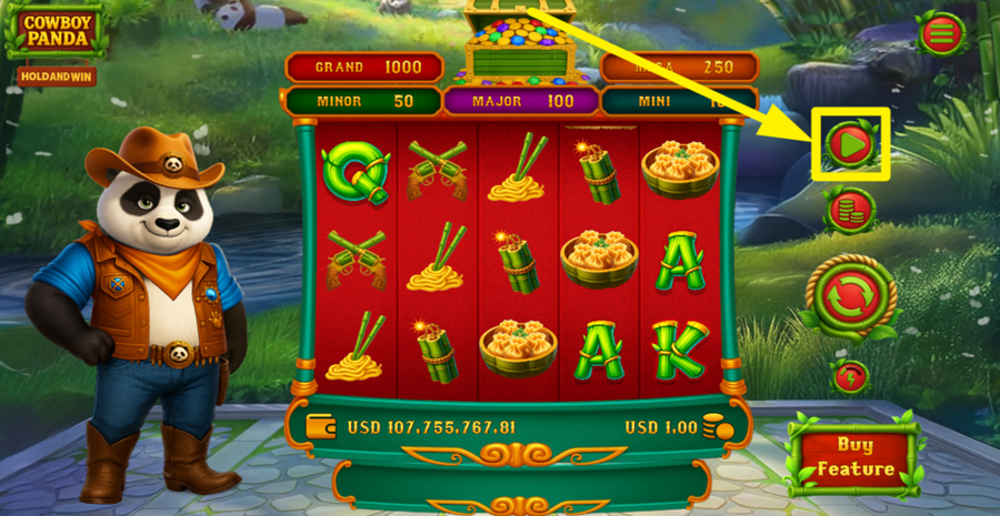 Cowboy Panda Hold And Win Autoplay