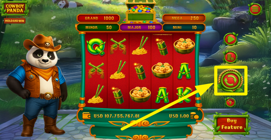 Cowboy Panda Hold And Win Spin